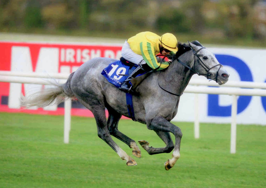 Unsinkable Leopardstown 25th October